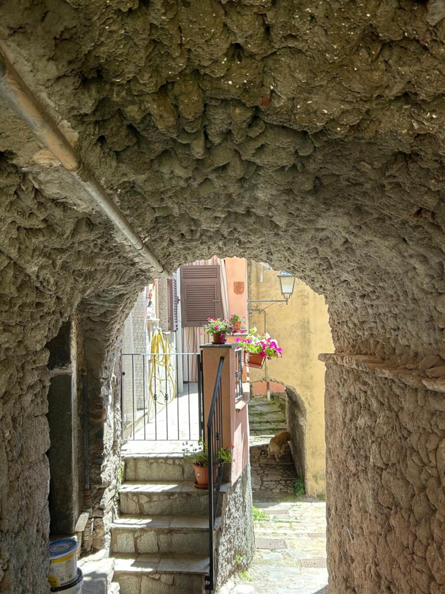 Ca De Igiu-Biassa-Cinque Terre Apartment Bagian luar foto